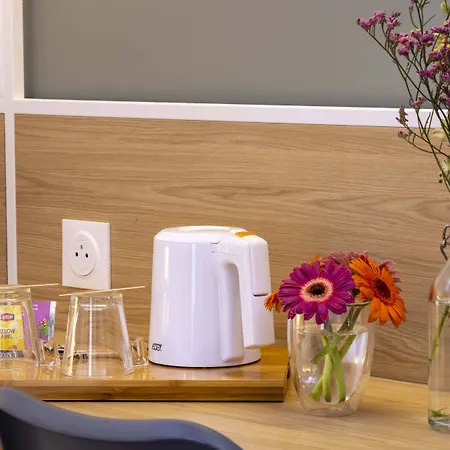 لوي بلون فندق باريس